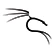 Kali Linux Kali Linux